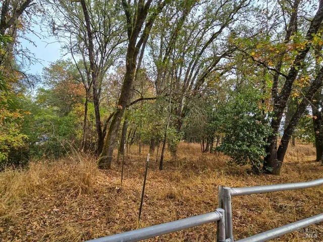 a view of outdoor space with deck and trees