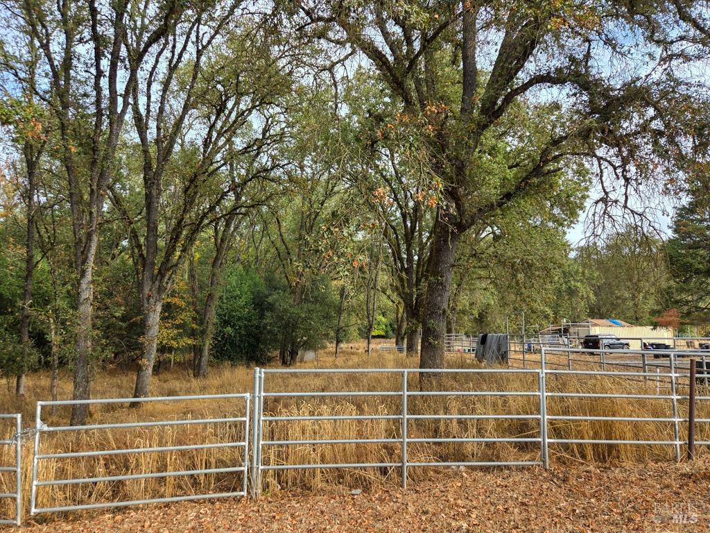 1540 Rd D Redwood Valley, CA 95470 - Photo 40 of 42 a view of a yard with a trees
