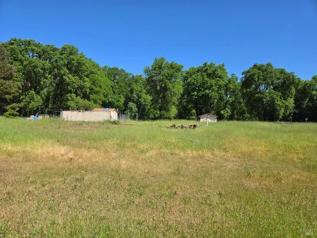 a view of a field with an trees in the background