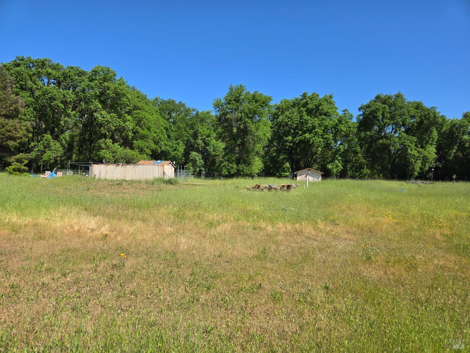 1540 Rd D Redwood Valley, CA 95470 - Photo 4 of 42 a view of a field with an trees in the background