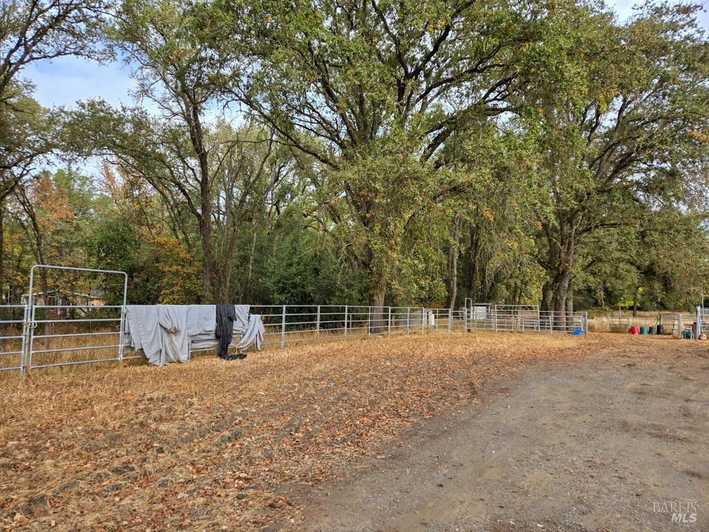 1540 Rd D Redwood Valley, CA 95470 - Photo 42 of 42 a view of outdoor space with deck and trees
