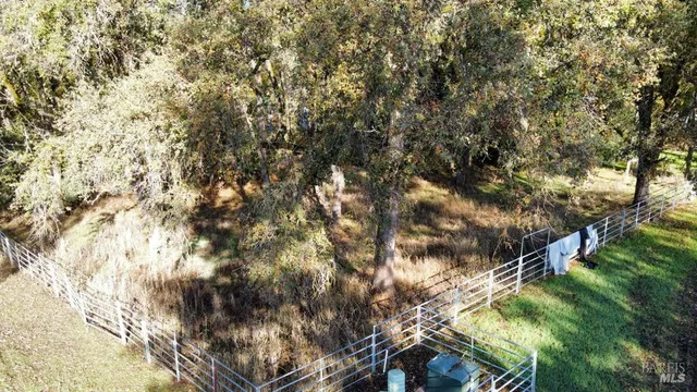 a backyard of a house with a yard and large tree