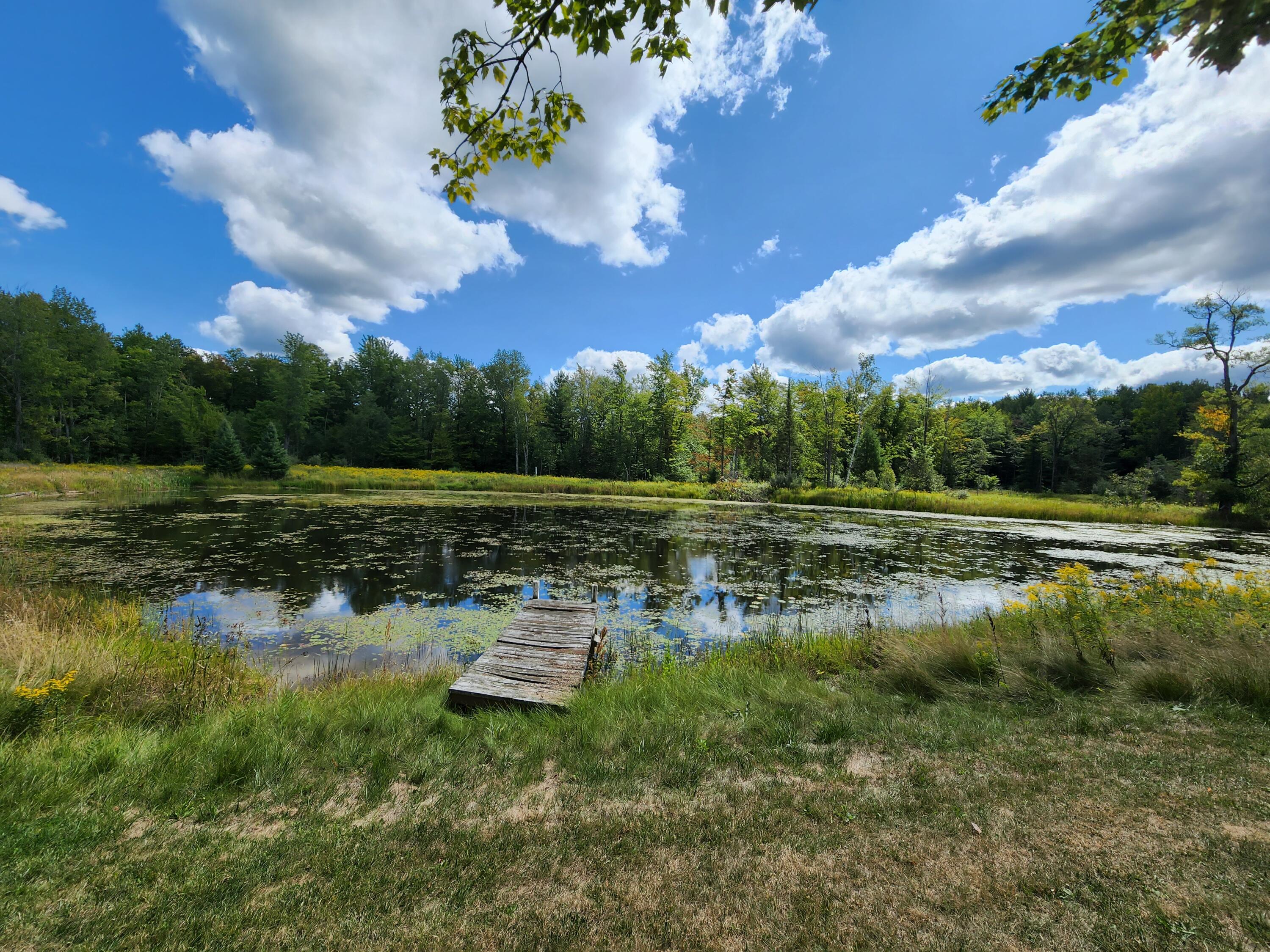 2165 Maier Road Mio, MI 48647 - Photo 5 of 75 Gallery Image 5