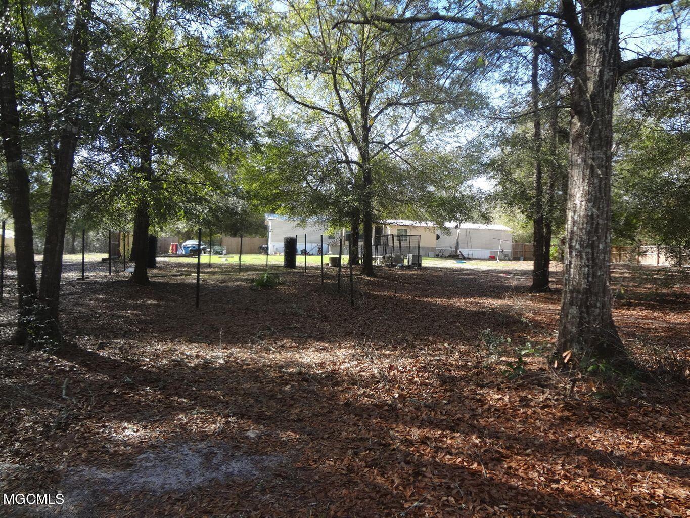 43 Grady Diamond Road Perkinston, MS 39573 - Photo 2 of 2 Backyard