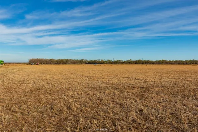 a view of an ocean beach