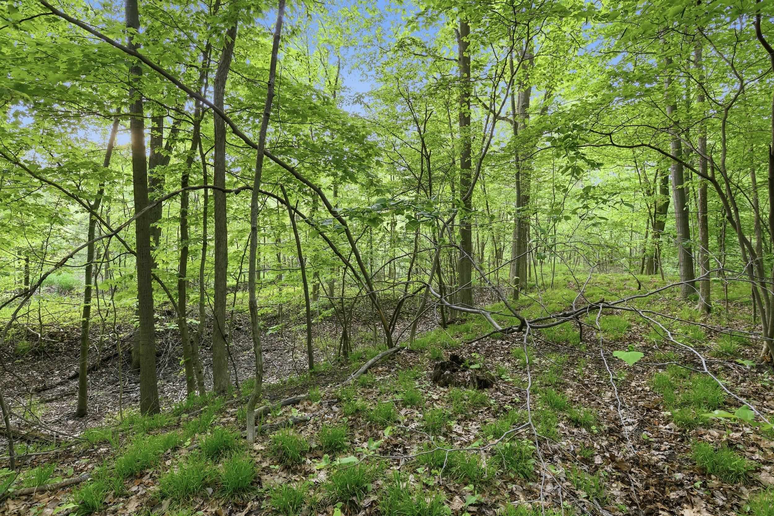 Vl South Chapin Road Elsie, MI 48831 - Photo 20 of 26