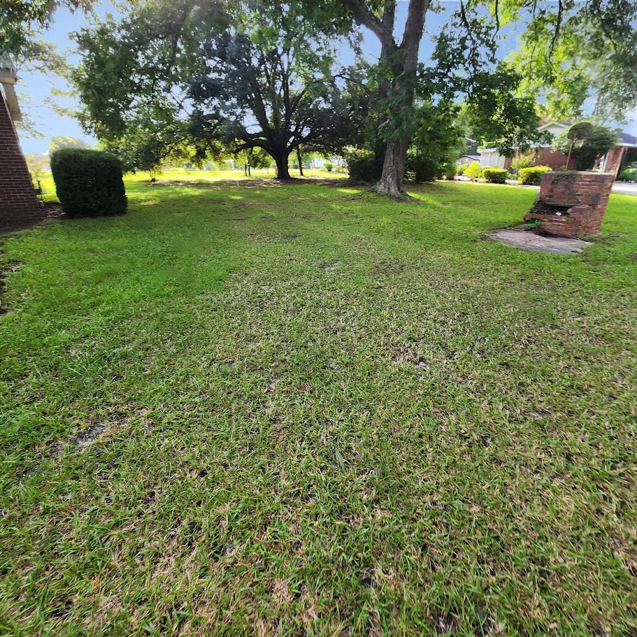 1468 Spring Branch Road Bamberg, SC 29003 - Photo 4 of 12 Photo 4