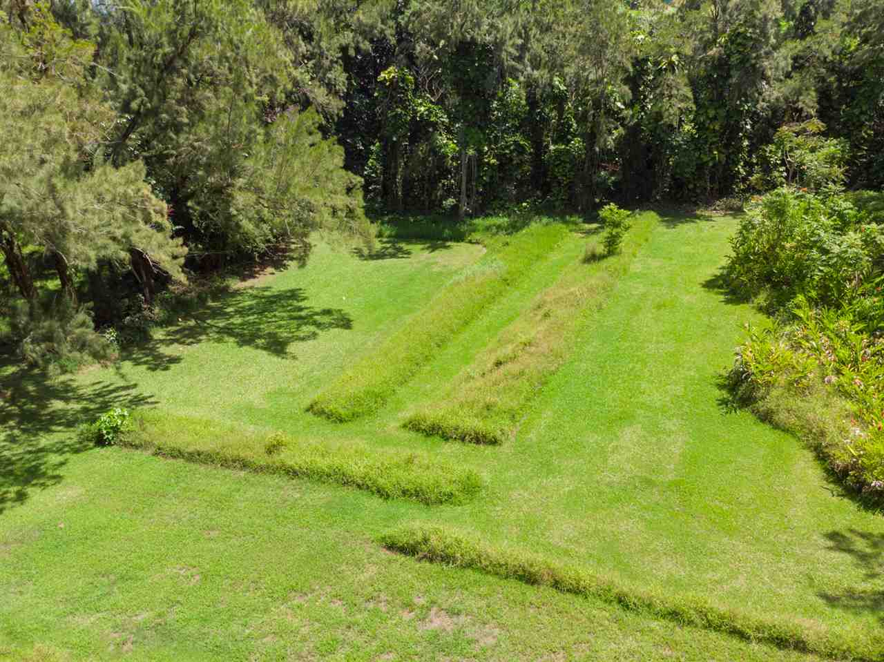 605 Kaupakalua Road Haiku, HI 96708 - Photo 2 of 30 a view of a garden