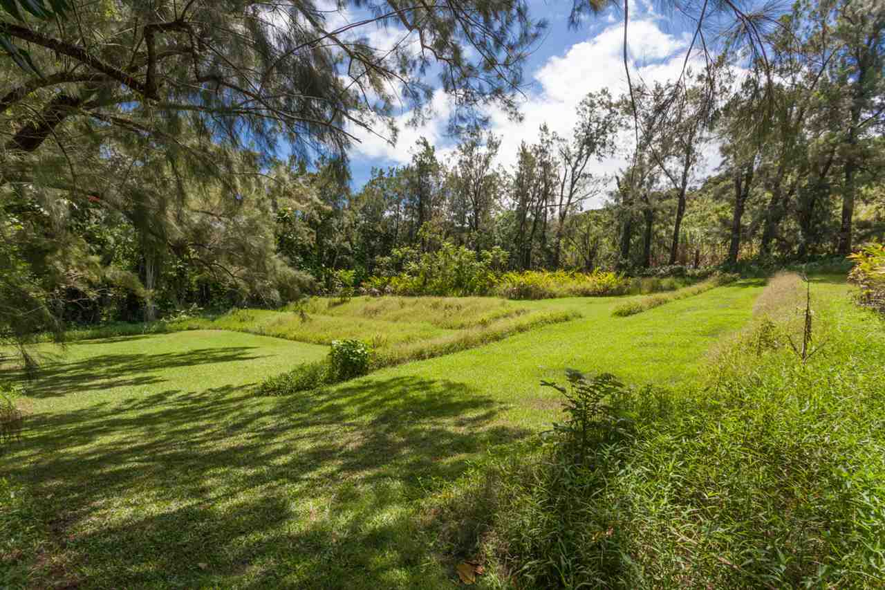 605 Kaupakalua Road Haiku, HI 96708 - Photo 24 of 30 a view of a big yard with large trees