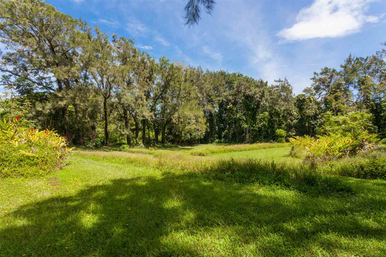 605 Kaupakalua Road Haiku, HI 96708 - Photo 25 of 30 a view of a yard with a house in the background