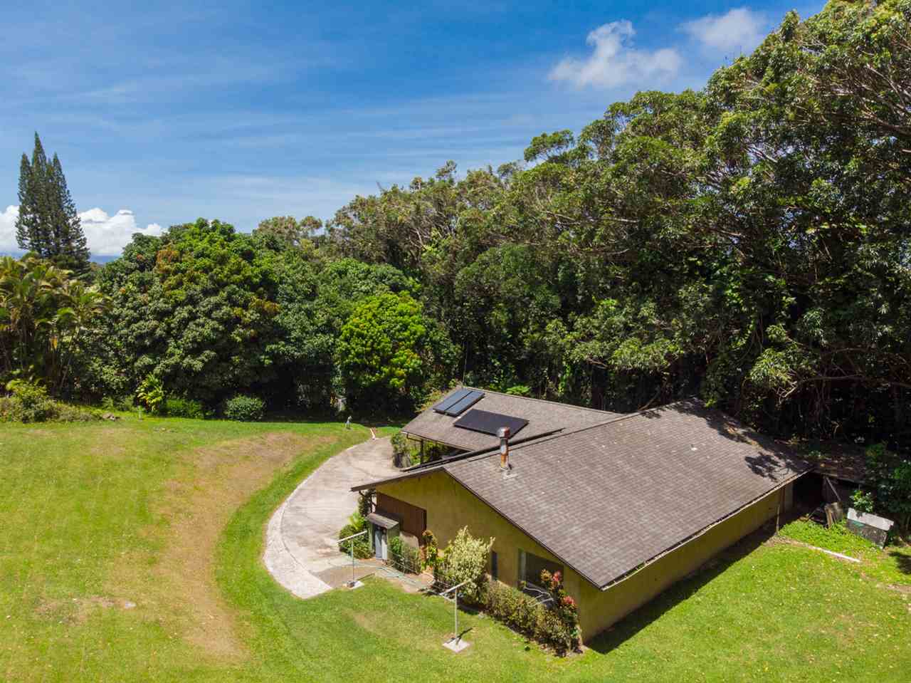 605 Kaupakalua Road Haiku, HI 96708 - Photo 3 of 30 a view of a backyard with chairs
