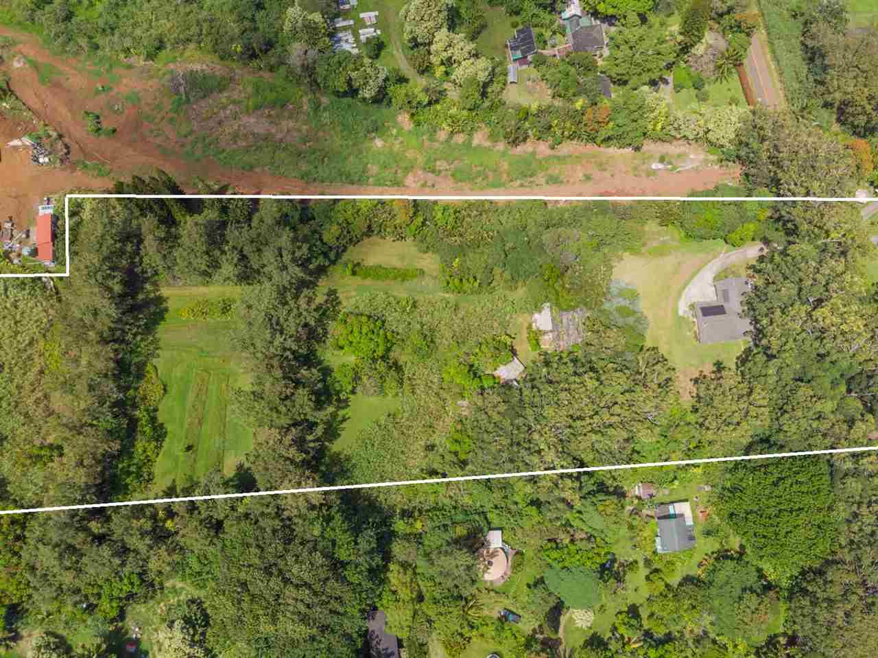 605 Kaupakalua Road Haiku, HI 96708 - Photo 4 of 30 a view of a forest