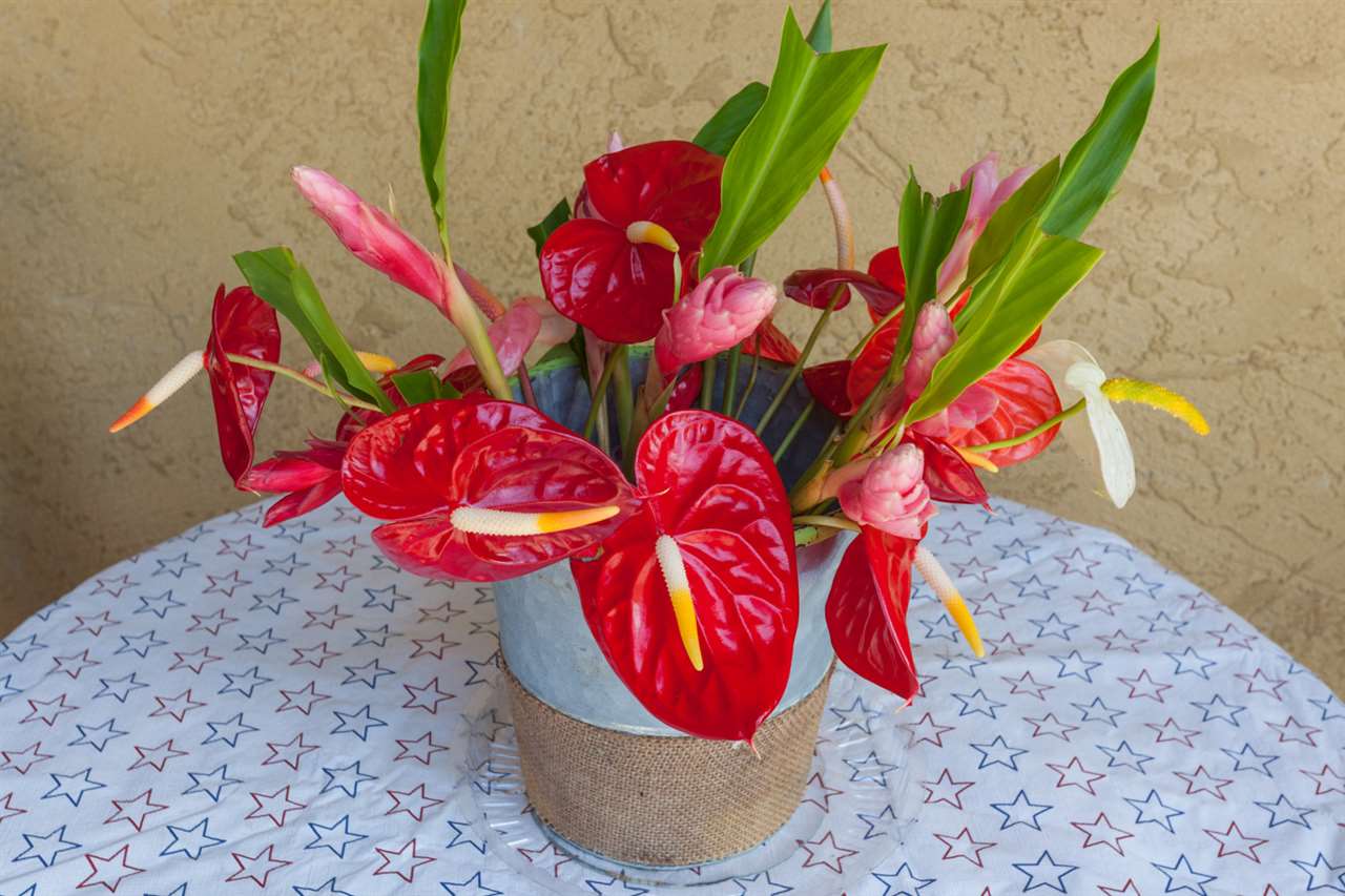 605 Kaupakalua Road Haiku, HI 96708 - Photo 8 of 30