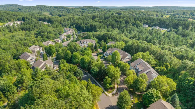 an aerial view of green landscape with trees houses and mountain view