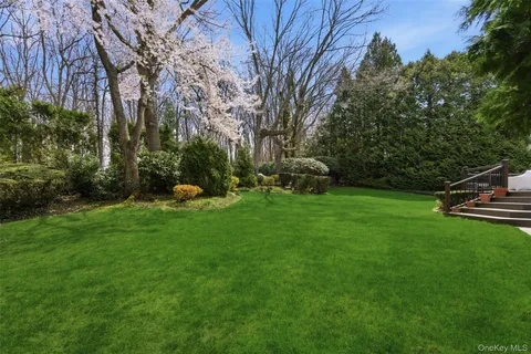 a view of a backyard with plants and a large tree