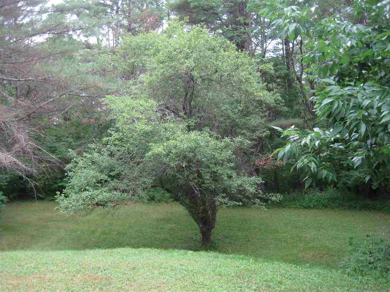 16 Old Profile Road Marlow, NH 03456 - Photo 30 of 37