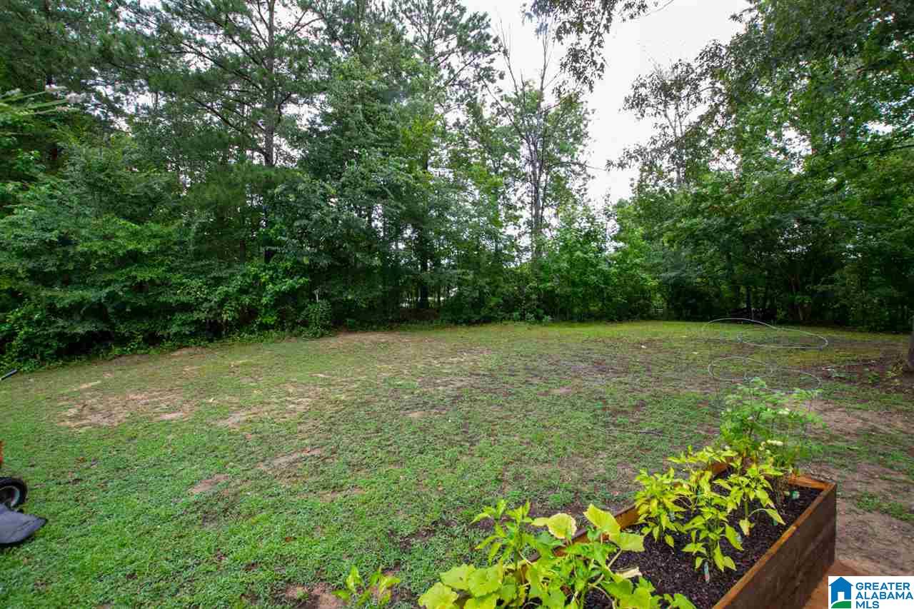 296 Briarfield Road Warrior, AL 35180 - Photo 31 of 34