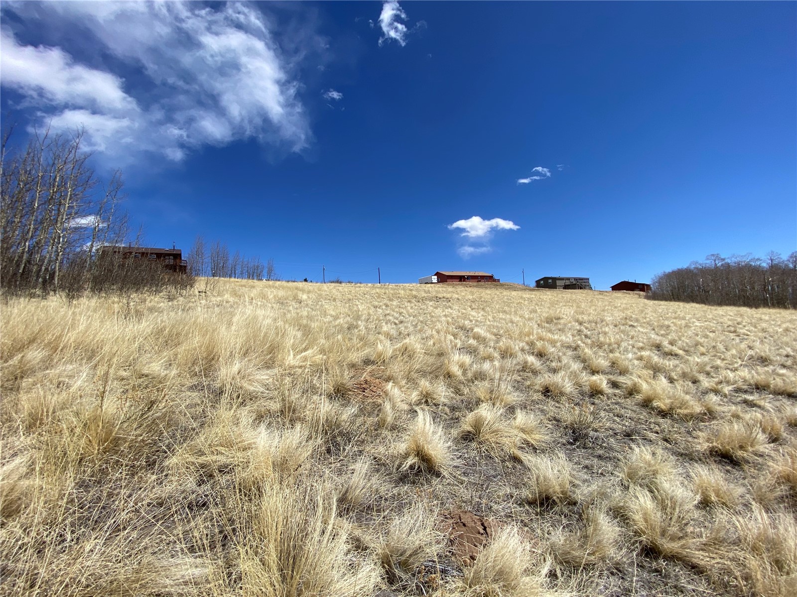 290 Sheep Ridge Road Fairplay, CO 80440 - Photo 29 of 40 Gallery Image 29