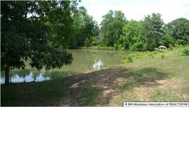 1 Love Road Hernando, MS 38632 - Photo 14 of 15 Additional Photo