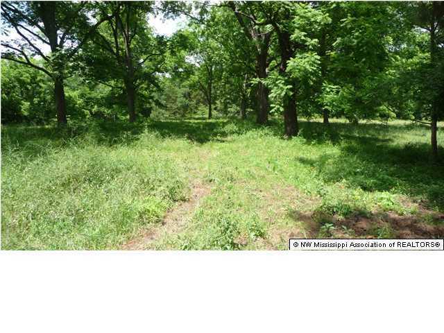 1 Love Road Hernando, MS 38632 - Photo 4 of 15 Additional Photo