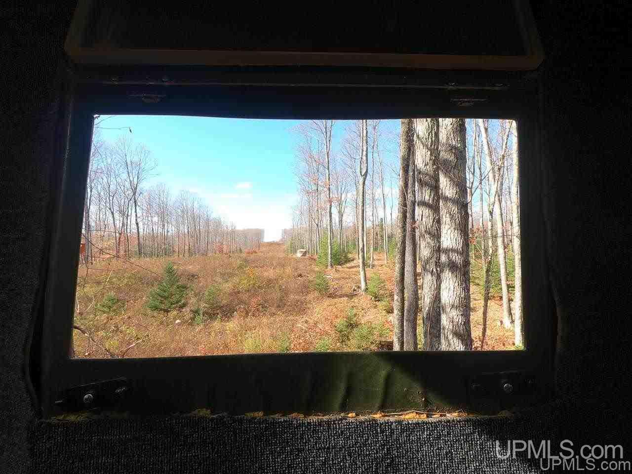 Tbd Tbd Vega Road Hermansville, MI 49847 - Photo 11 of 11