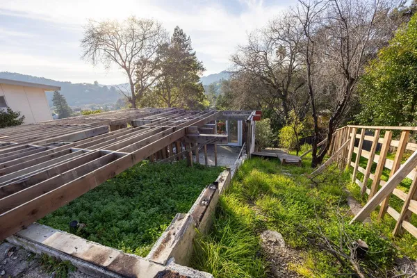 a view of a yard with potted plants