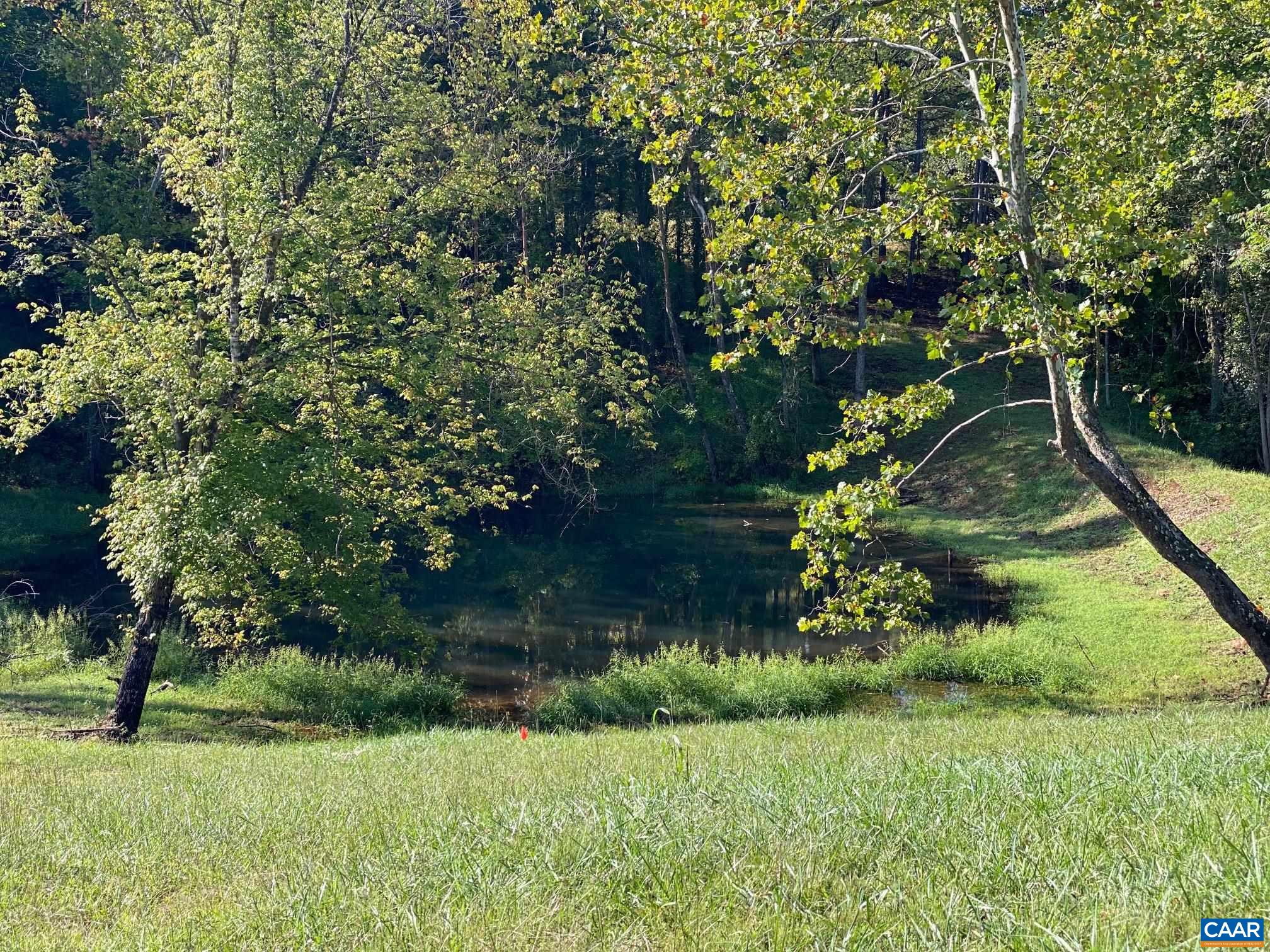 0 Burnt Mill Road Charlottesville, VA 22911 - Photo 4 of 9 a view of a garden