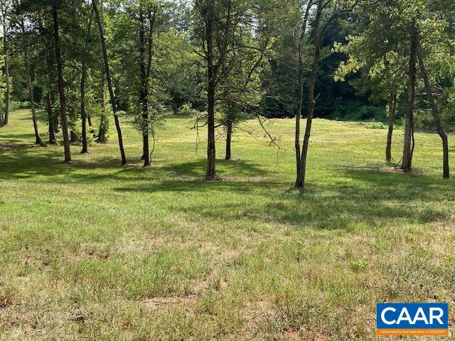0 Burnt Mill Road Charlottesville, VA 22911 - Photo 5 of 9 a view of yard with trees