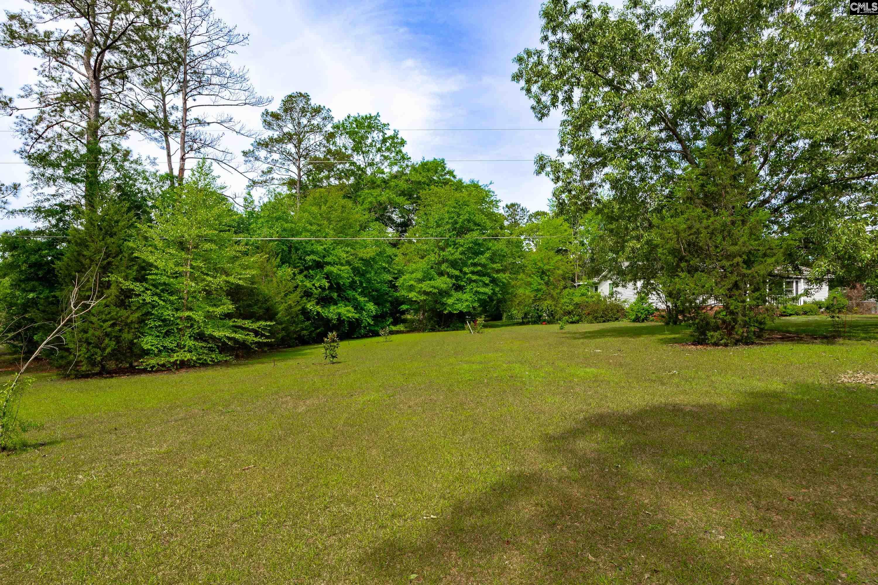1571 Chestnut Road Elgin, SC 29045 - Photo 37 of 45