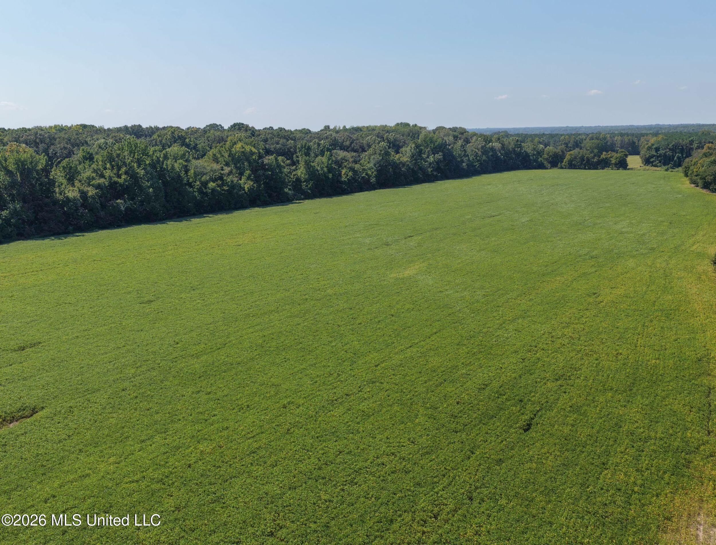 48-ac Old Panola Road Sardis, MS 38666 - Photo 25 of 30 7trtrwest10