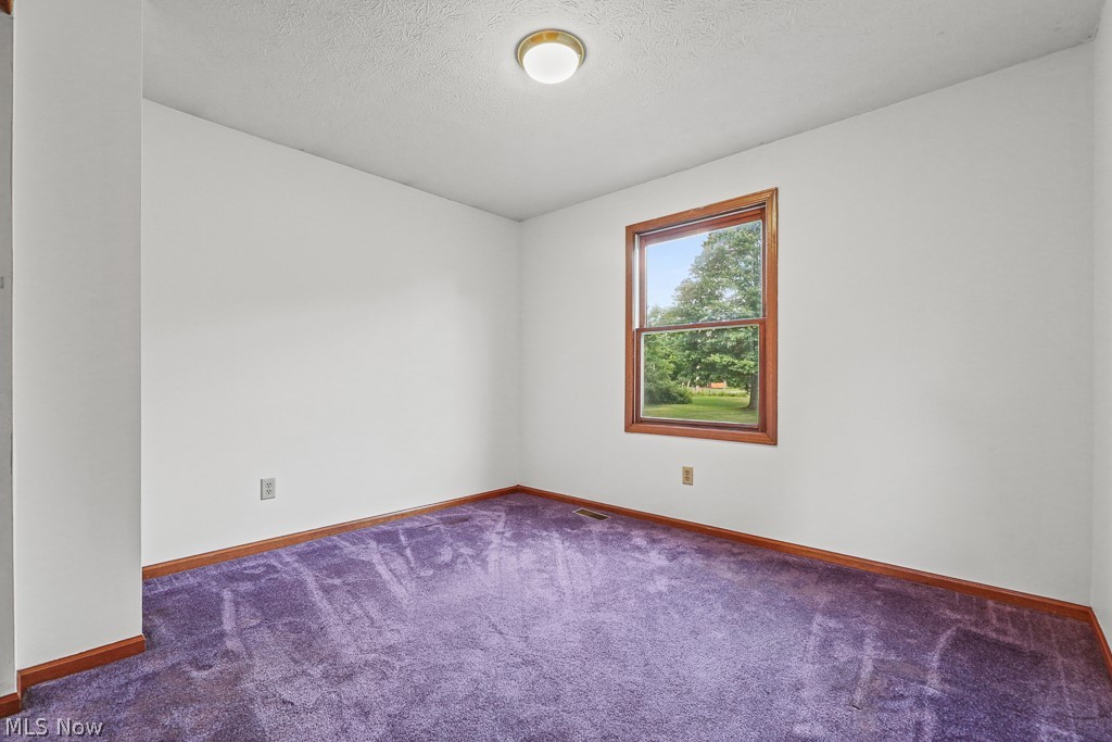 2642 Blake Road Wadsworth, OH 44281 - Photo 29 of 46 Interior room featuring a single window with wood trim, white painted walls, purple carpet, wood baseboards, and a ceiling-mounted light fixture