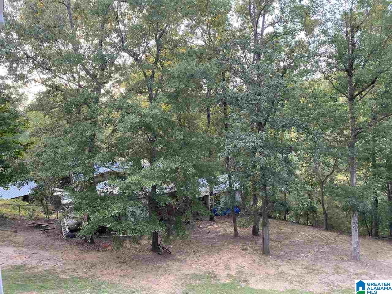 9102 Manley Vines Camp Road Bessemer, AL 35023 - Photo 30 of 39