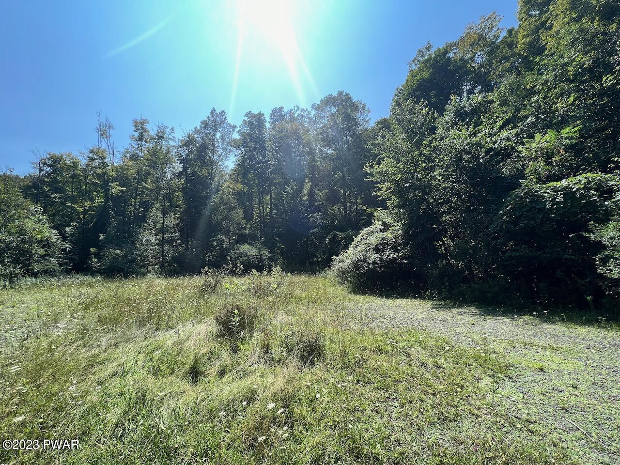 4-5 Secluded Lk Road Newfoundland, PA 18445 - Photo 9 of 22