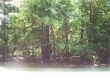 Jane Street Spring Lake, MI 49456 - Photo 1 of 1 Primary Photo