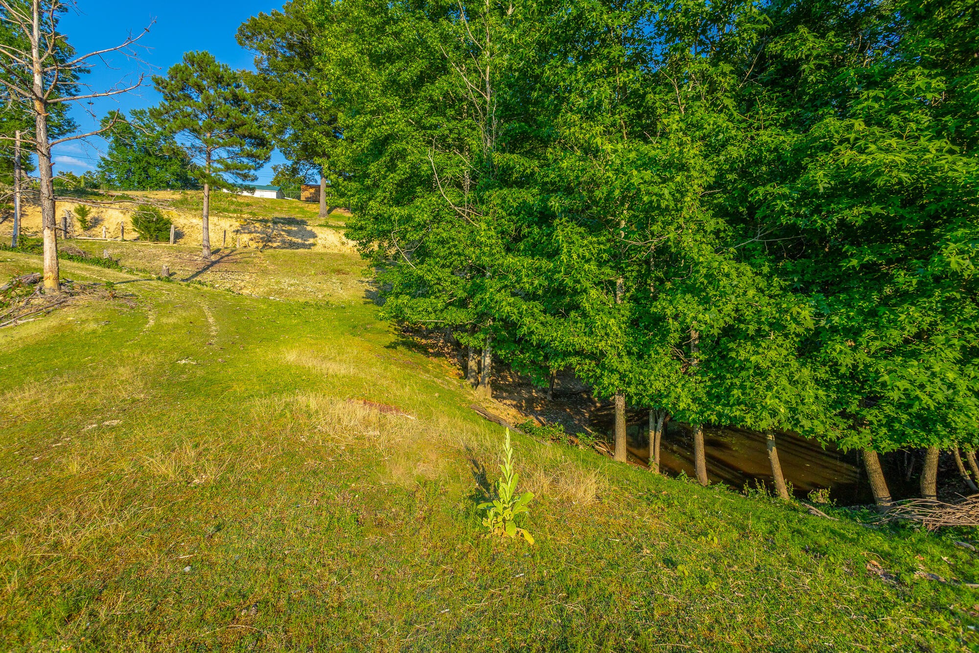 1240 Goose Pond Road Whitwell, TN 37397 - Photo 89 of 100 Gallery Image 89