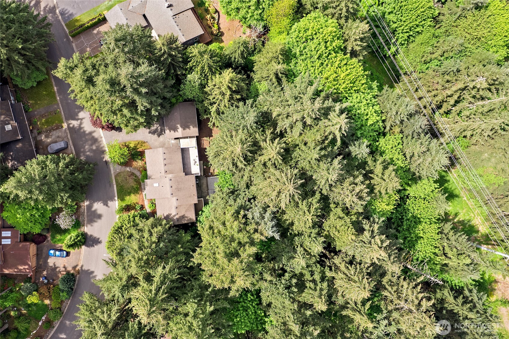 20817 29th Avenue Southeast Bothell, WA 98021 - Photo 36 of 40 front view of a house with a tree