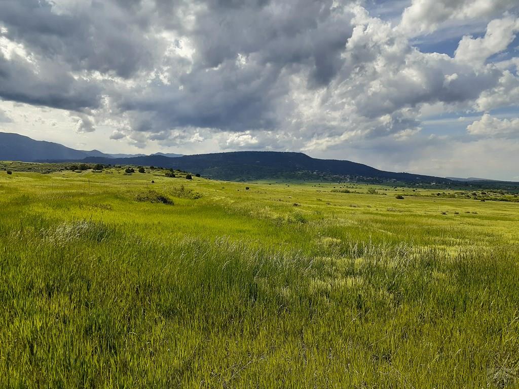 Tbd Apollo Circle Rye, CO 81069 - Photo 5 of 11