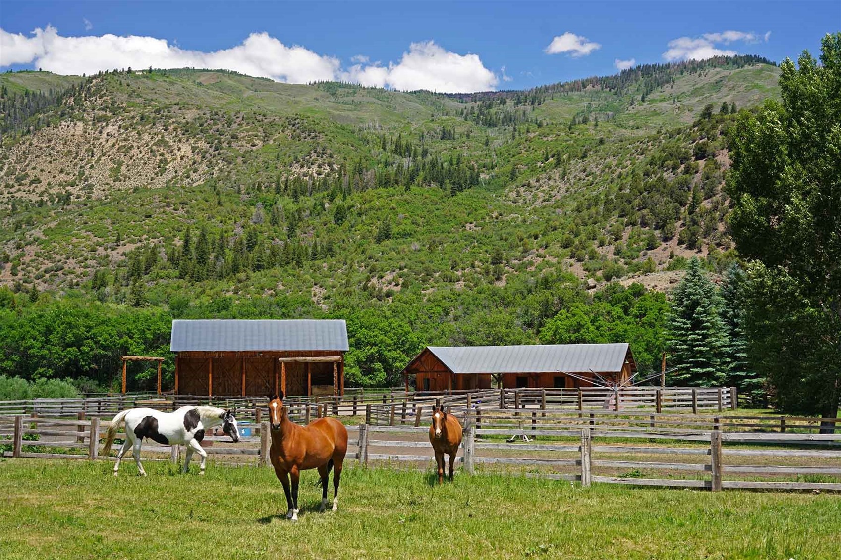 2650 Sweetwater Road Gypsum, CO 81637 - Photo 30 of 50 Gallery Image 30