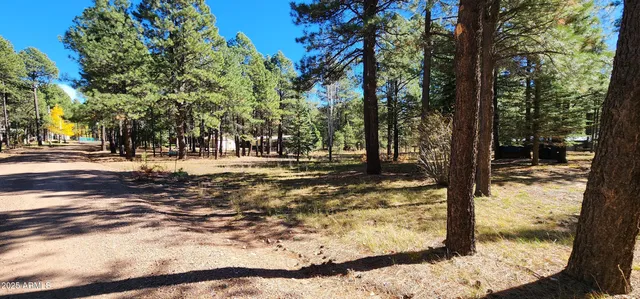 $300,000 | 1958 Ferret Circle, Unit 260, Forest Lakes, AZ 85931