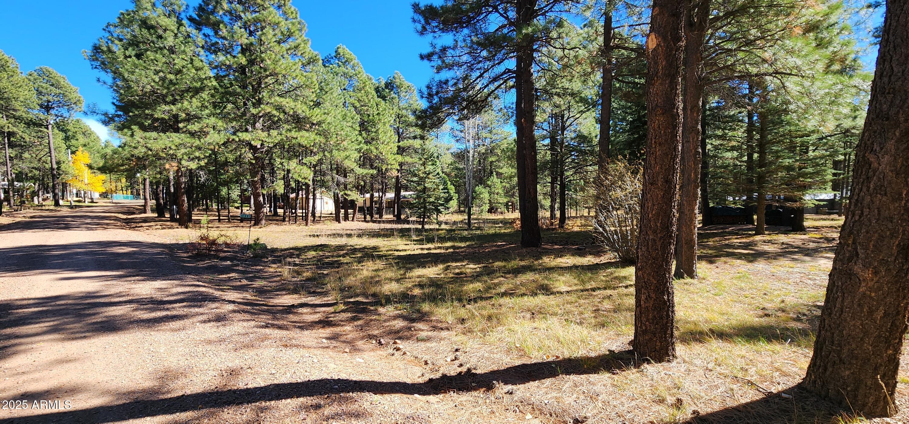 1958 Ferret Circle, Unit 260 Forest Lakes, AZ 85931 - Photo 2 of 7 a view of yard with trees