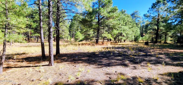 $300,000 | 1958 Ferret Circle, Unit 260, Forest Lakes, AZ 85931