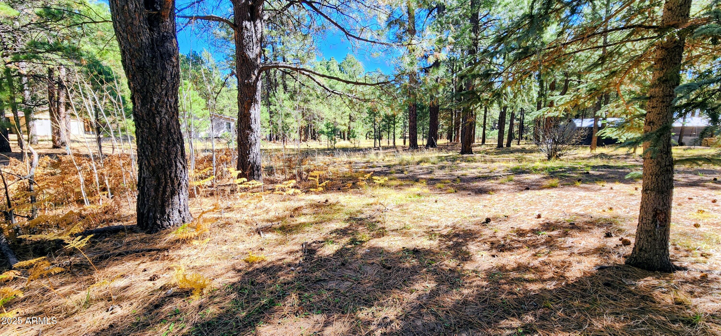 1958 Ferret Circle, Unit 260 Forest Lakes, AZ 85931 - Photo 5 of 7 a view of yard with trees