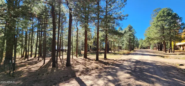$289,500 | 1958 Ferret Circle, Unit 260, Forest Lakes, AZ 85931