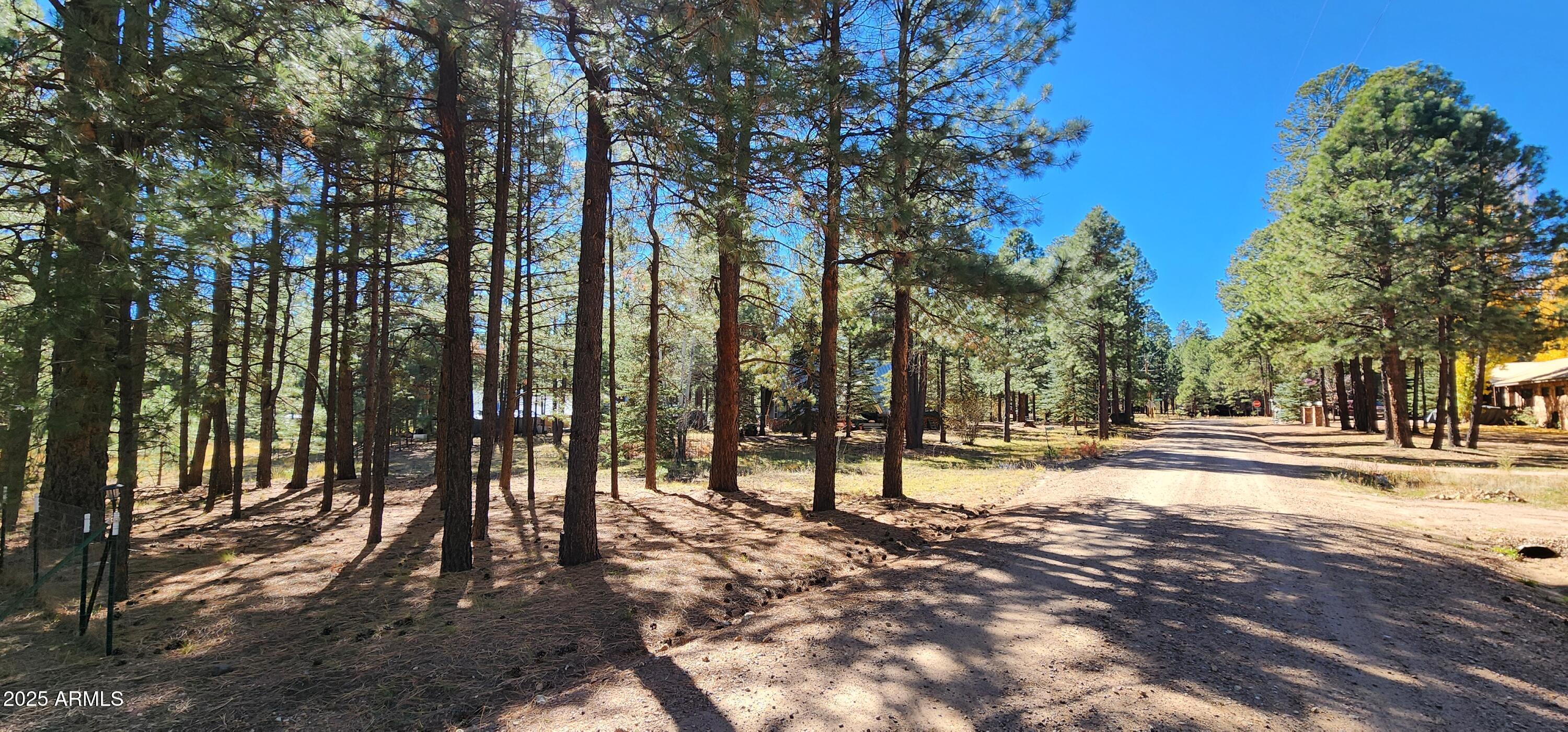 1958 Ferret Circle, Unit 260 Forest Lakes, AZ 85931 - Photo 7 of 7 a view of a yard with plants and trees