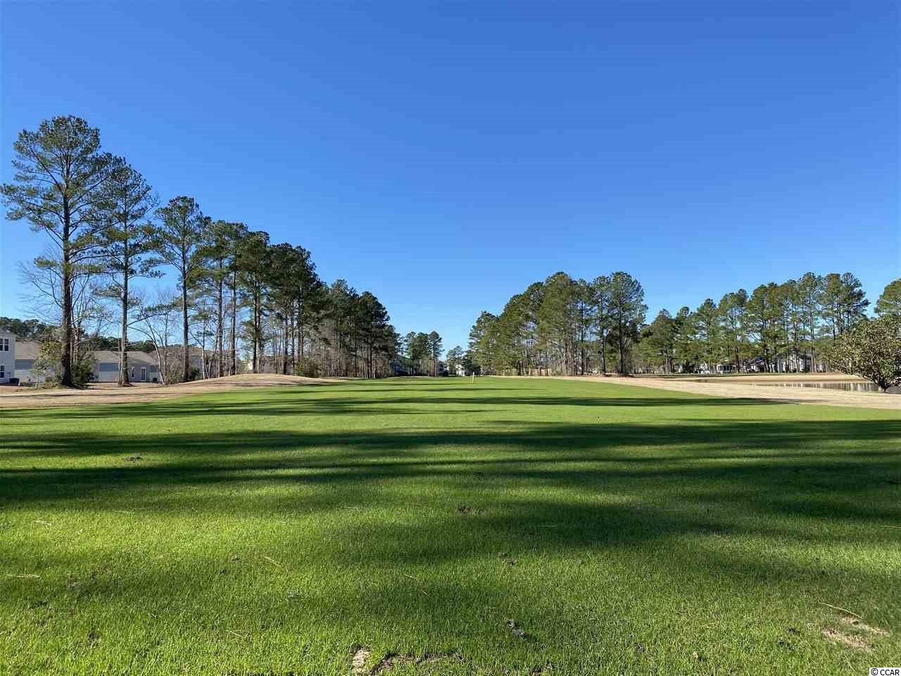 2039 Borgata Loop Longs, SC 29568 - Photo 24 of 40 Gallery Image 24