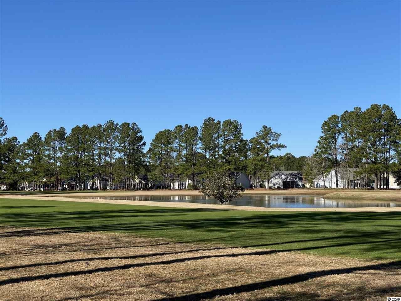 2039 Borgata Loop Longs, SC 29568 - Photo 27 of 40 Gallery Image 27
