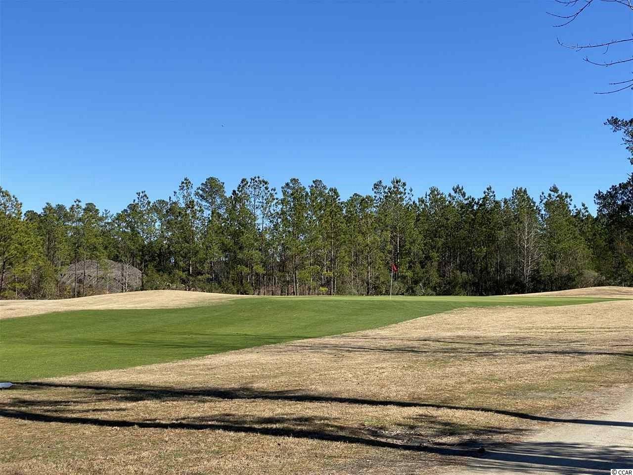 2039 Borgata Loop Longs, SC 29568 - Photo 28 of 40 Gallery Image 28
