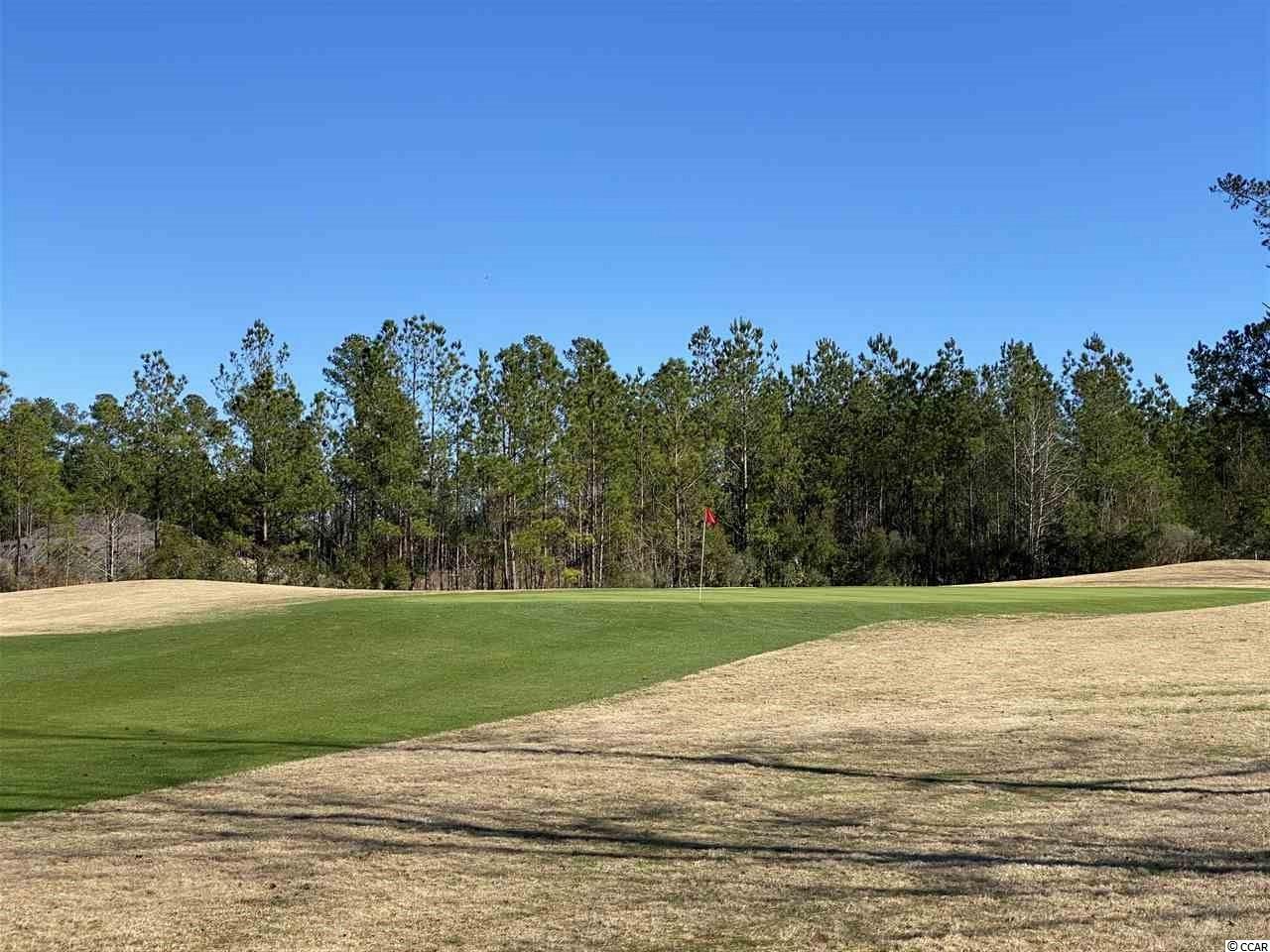 2039 Borgata Loop Longs, SC 29568 - Photo 29 of 40 Gallery Image 29