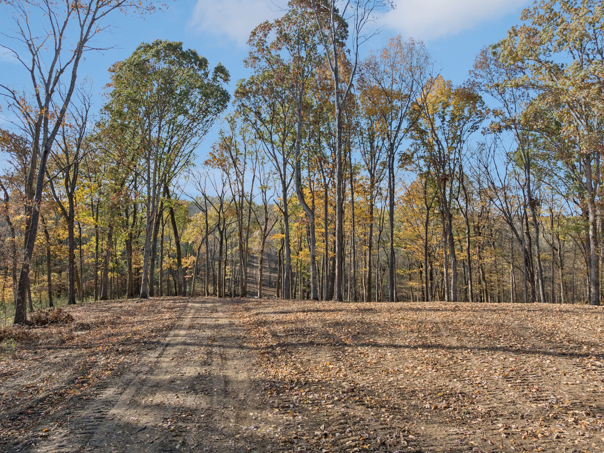 0 Palmer Road Lebanon, TN 37090 - Photo 1 of 31 a view of outdoor space with trees