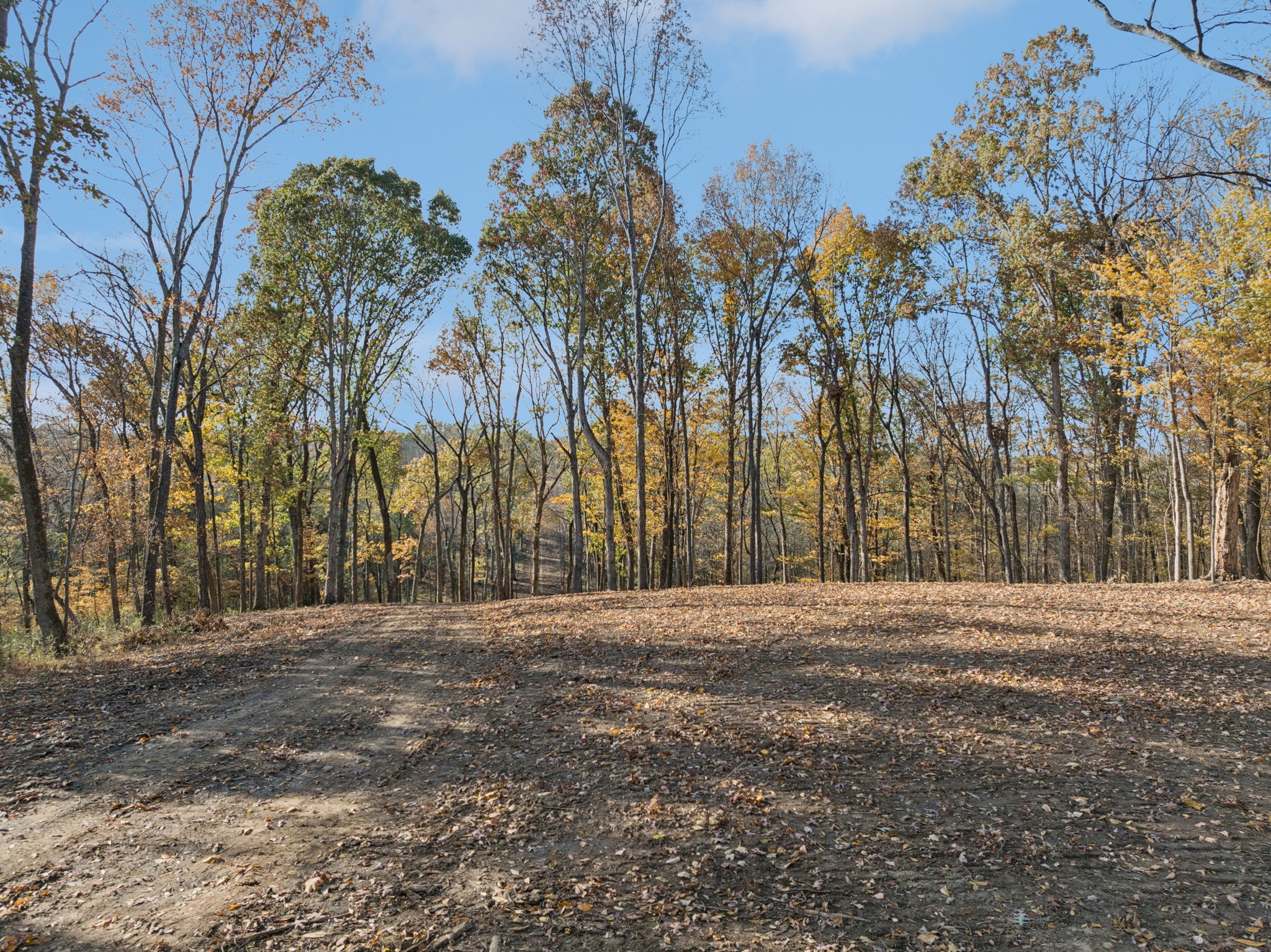 0 Palmer Road Lebanon, TN 37090 - Photo 11 of 31 a view of road with large trees